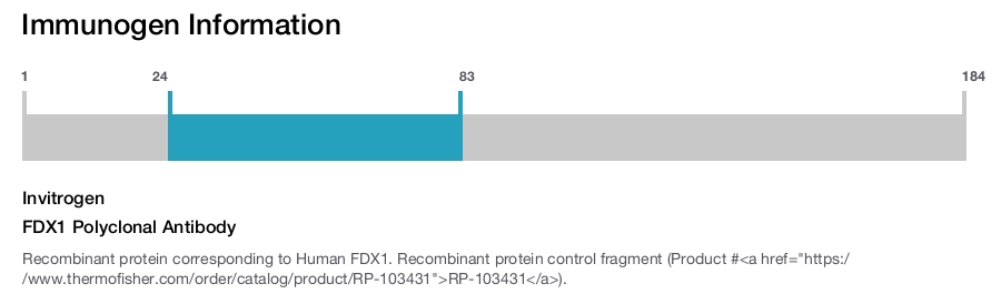 FDX1 Polyclonal Antibody