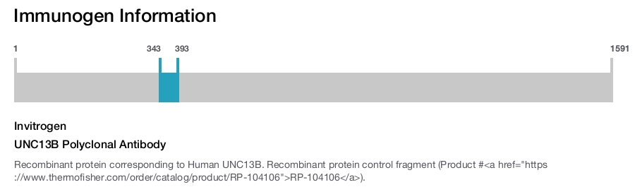 UNC13B Polyclonal Antibody