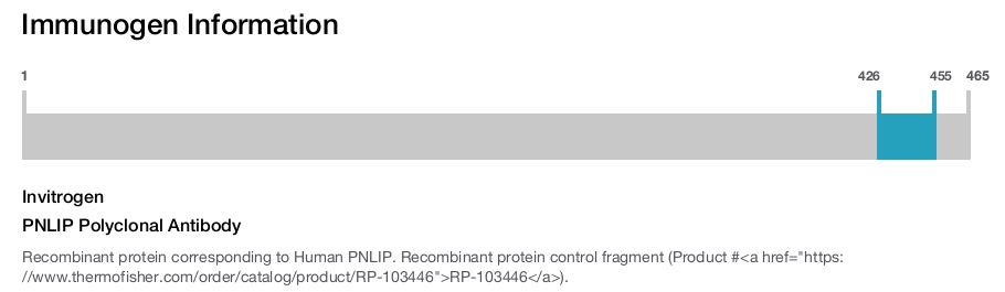 PNLIP Polyclonal Antibody