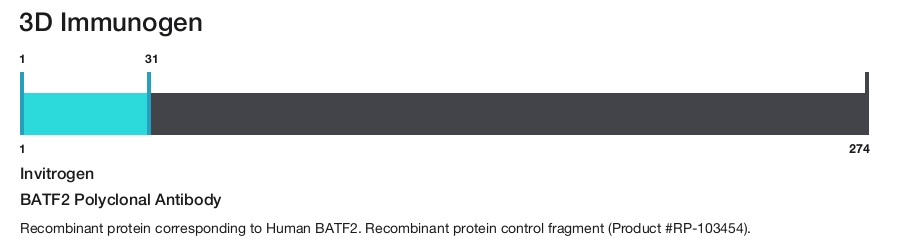 BATF2 Polyclonal Antibody