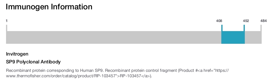 SP9 Polyclonal Antibody