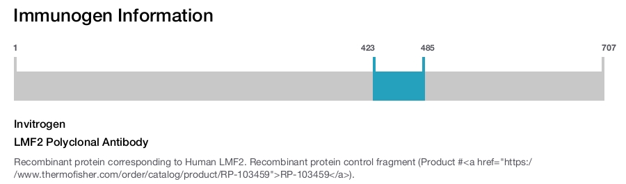 LMF2 Polyclonal Antibody