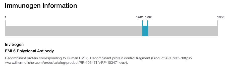 EML6 Polyclonal Antibody