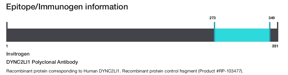 DYNC2LI1 Polyclonal Antibody