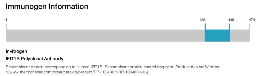 IFIT1B Polyclonal Antibody