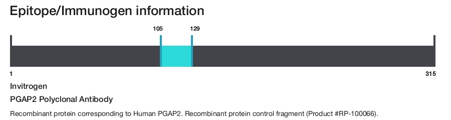 PGAP2 Polyclonal Antibody