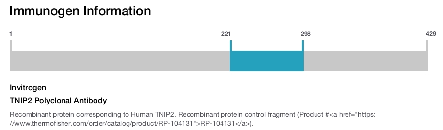 TNIP2 Polyclonal Antibody
