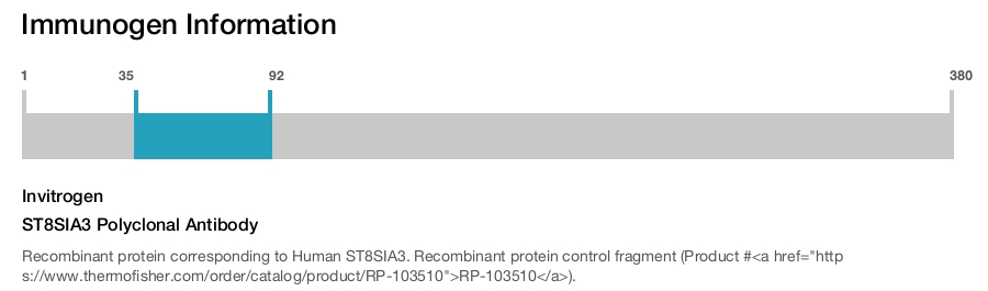 ST8SIA3 Polyclonal Antibody