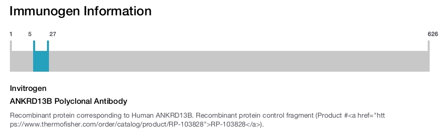 ANKRD13B Polyclonal Antibody