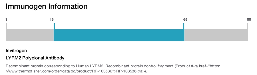 LYRM2 Polyclonal Antibody