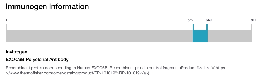 EXOC6B Polyclonal Antibody