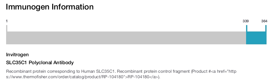 SLC35C1 Polyclonal Antibody