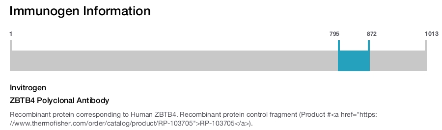 ZBTB4 Polyclonal Antibody