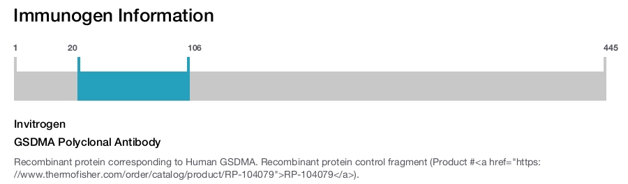 GSDMA Polyclonal Antibody