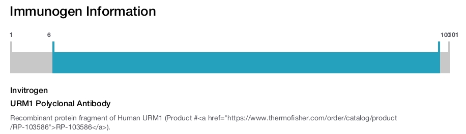 URM1 Polyclonal Antibody
