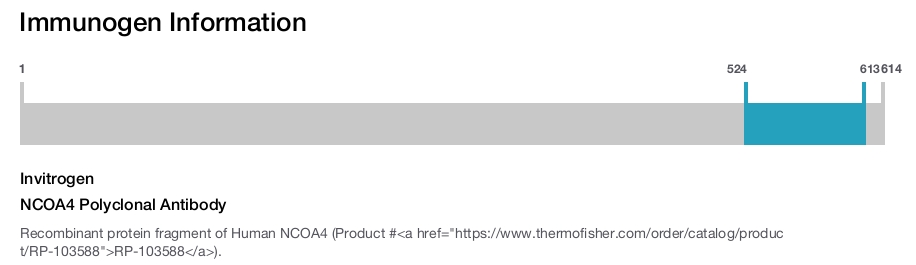 NCOA4 Polyclonal Antibody