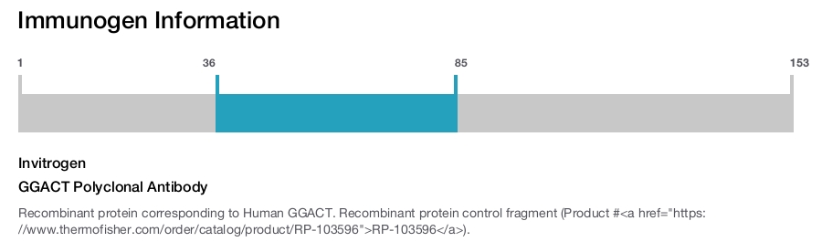 GGACT Polyclonal Antibody