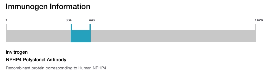 NPHP4 Polyclonal Antibody