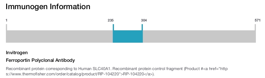 Ferroportin Polyclonal Antibody