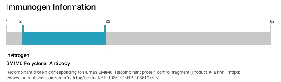 SMIM6 Polyclonal Antibody