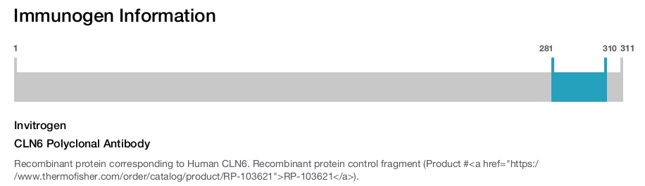 CLN6 Polyclonal Antibody