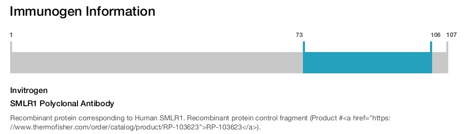 SMLR1 Polyclonal Antibody