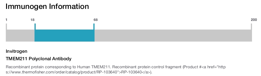 TMEM211 Polyclonal Antibody