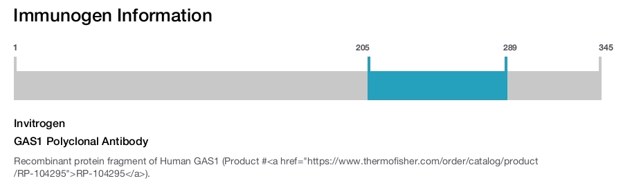GAS1 Polyclonal Antibody