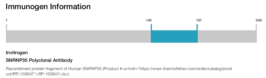 SNRNP35 Polyclonal Antibody