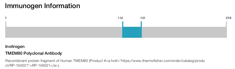 TMEM80 Polyclonal Antibody
