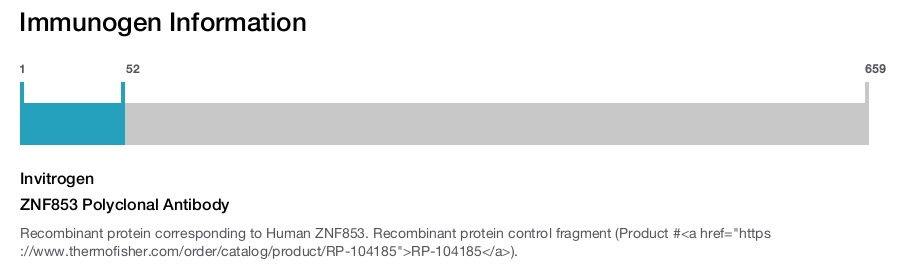 ZNF853 Polyclonal Antibody