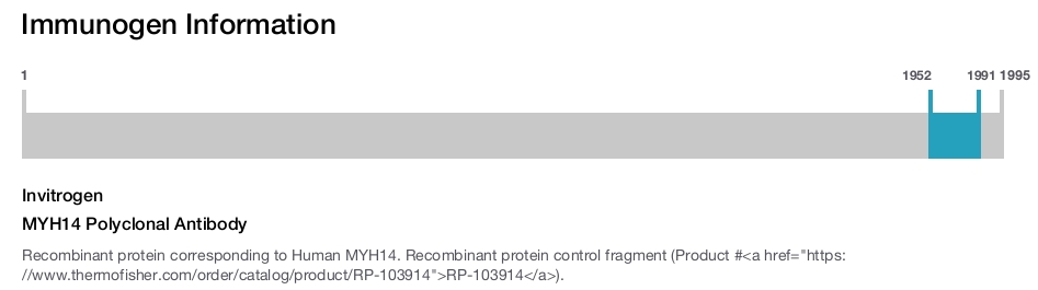 MYH14 Polyclonal Antibody