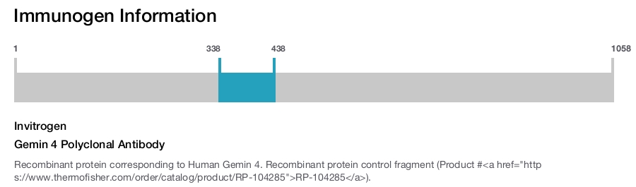 Gemin 4 Polyclonal Antibody
