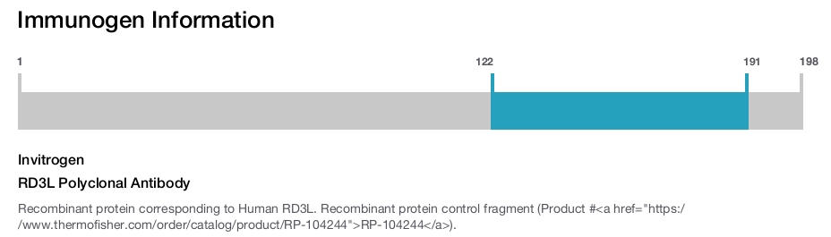 RD3L Polyclonal Antibody
