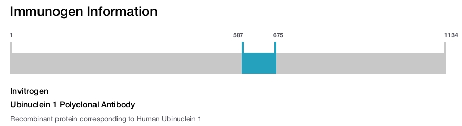 Ubinuclein 1 Polyclonal Antibody