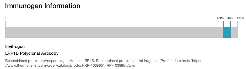 LRP1B Polyclonal Antibody