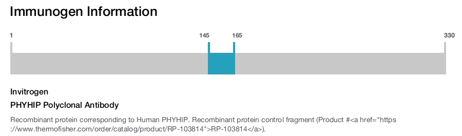 PHYHIP Polyclonal Antibody