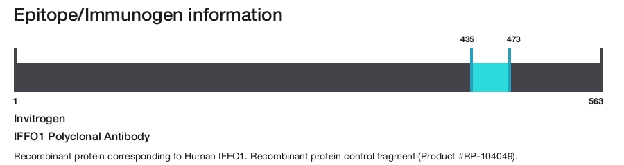 IFFO1 Polyclonal Antibody