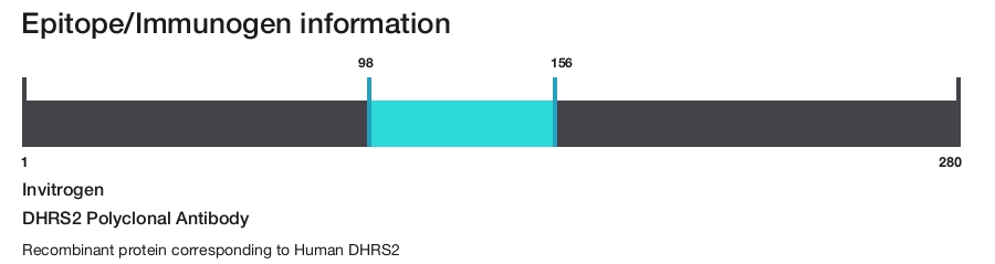 DHRS2 Polyclonal Antibody