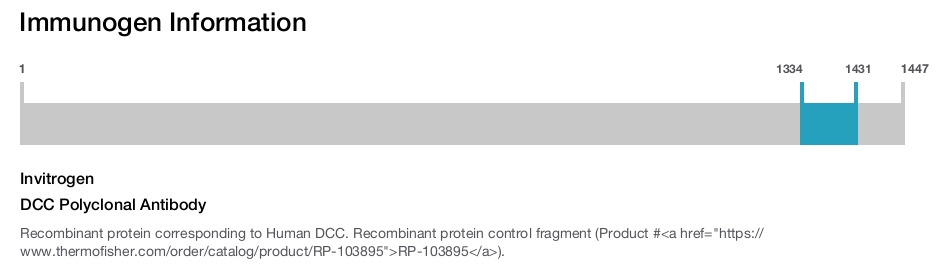DCC Polyclonal Antibody