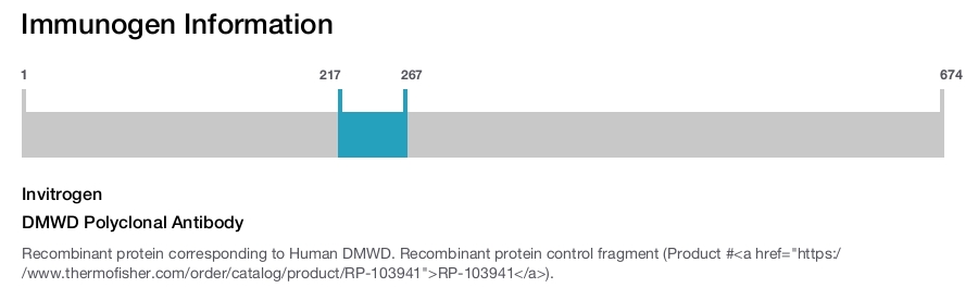 DMWD Polyclonal Antibody