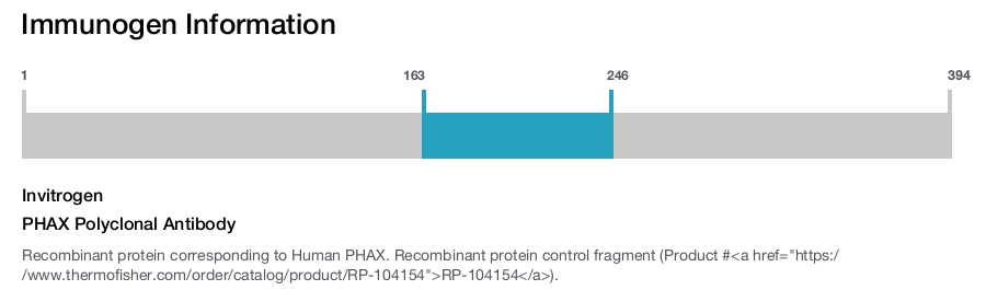 PHAX Polyclonal Antibody