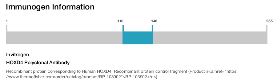 HOXD4 Polyclonal Antibody