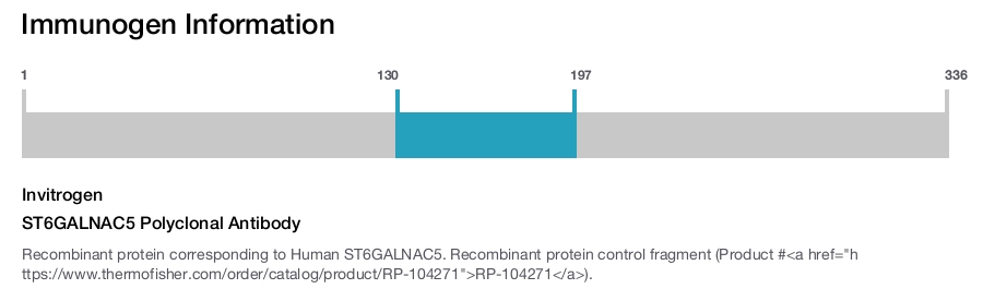 ST6GALNAC5 Polyclonal Antibody
