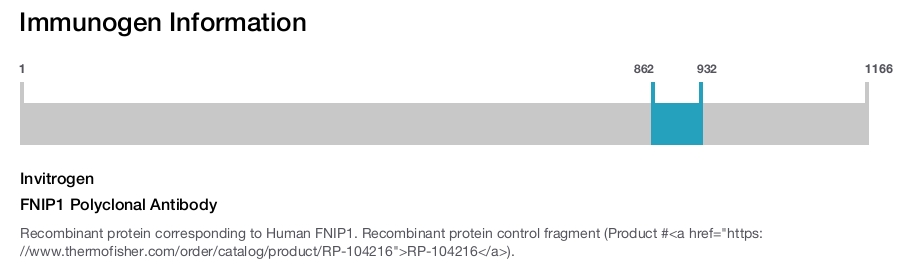 FNIP1 Polyclonal Antibody