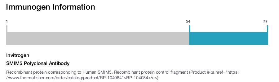 SMIM5 Polyclonal Antibody