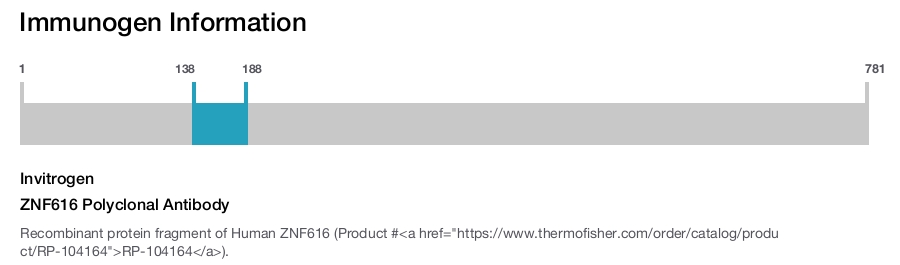 ZNF616 Polyclonal Antibody