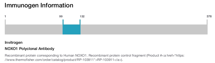 NOXO1 Polyclonal Antibody