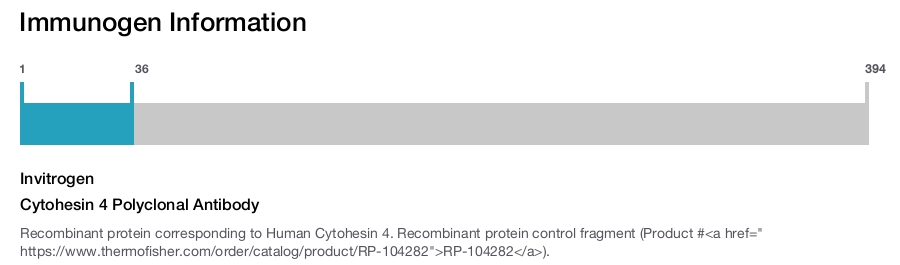 Cytohesin 4 Polyclonal Antibody