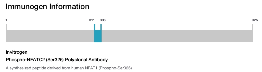 Phospho-NFATC2 (Ser326) Polyclonal Antibody